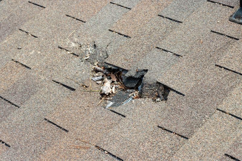 Damaged Roof Replacement in Gwinnett County, GA