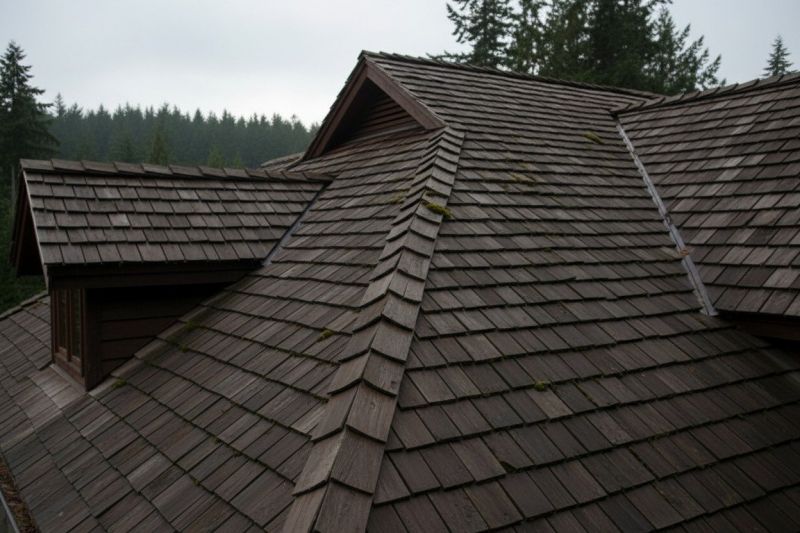 Wood Shake Roof Replacement in Oakwood, GA
